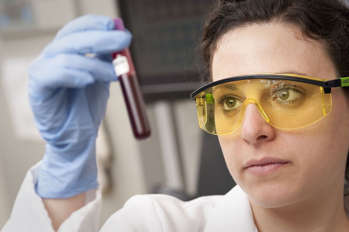 Provetta di sangue esaminata in laboratorio